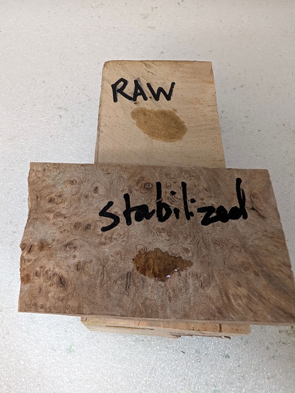 Side-by-side water-drop test on raw vs. stabilized maple burl blanks — the water bead sits on top of the stabilized piece while it soaks in and darkens the raw piece